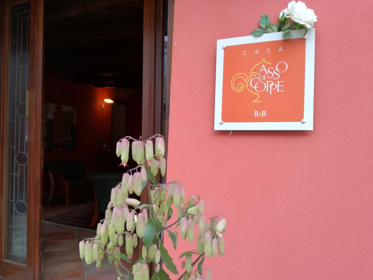 Casa Asso Di Coppe B&B Альба Экстерьер фото